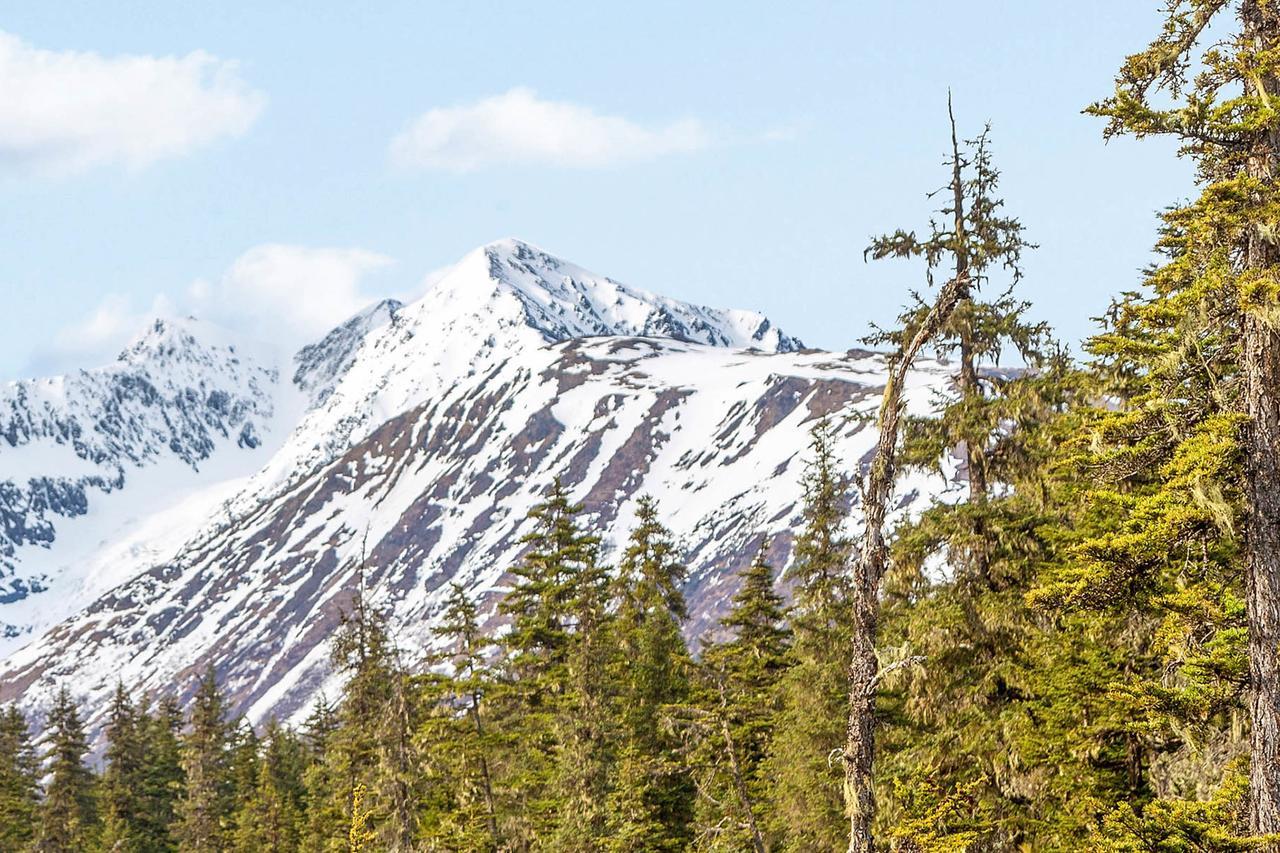 Brighton Condo #208 Girdwood Luaran gambar