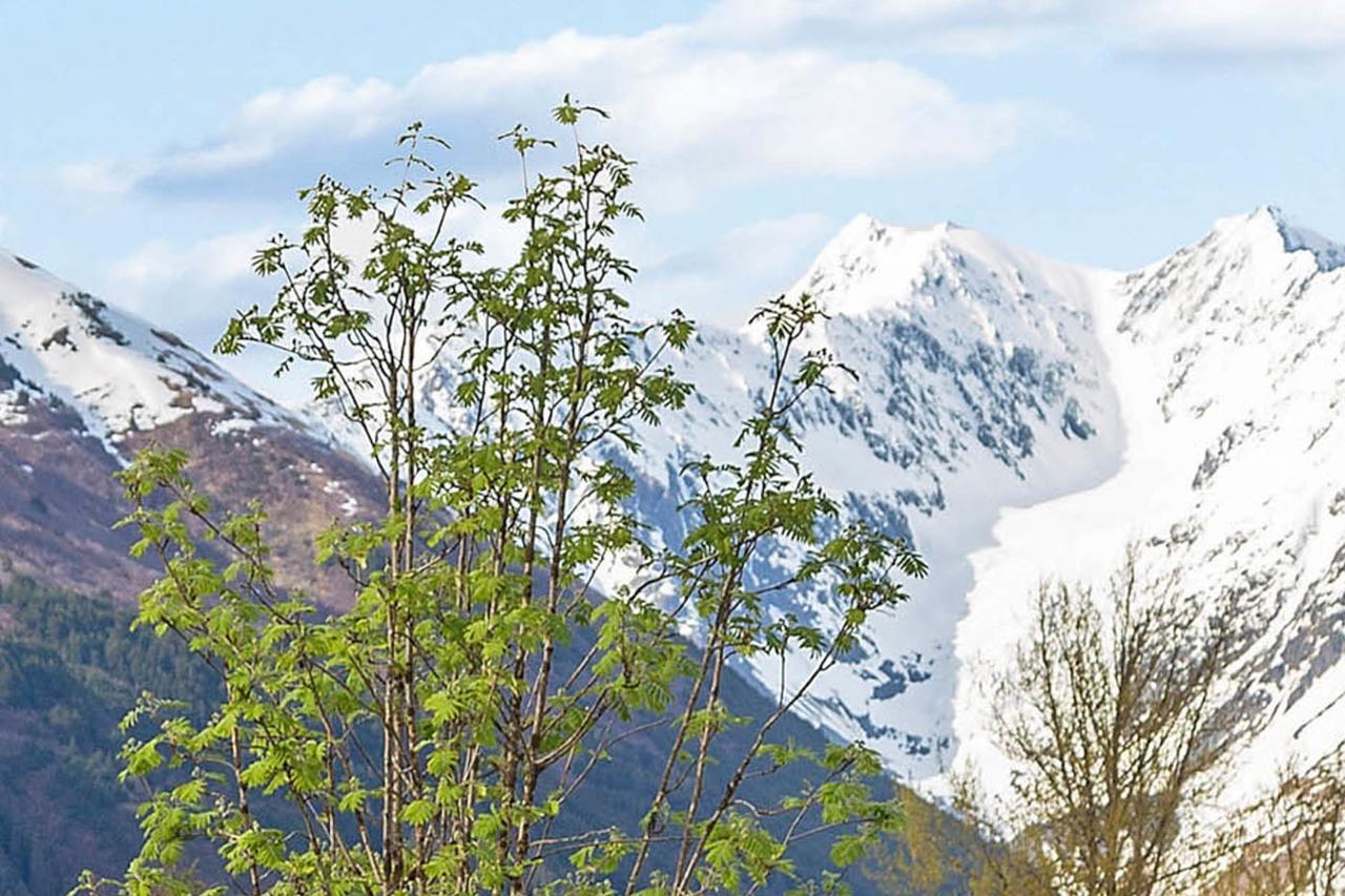 Brighton Condo #208 Girdwood Luaran gambar